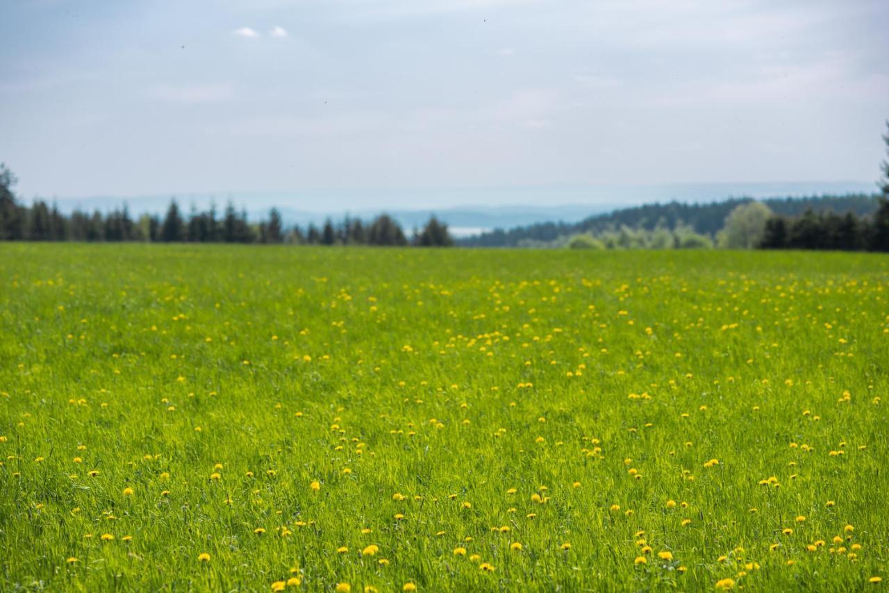Destne Apartmany Destne v Orlickych horach Exteriör bild