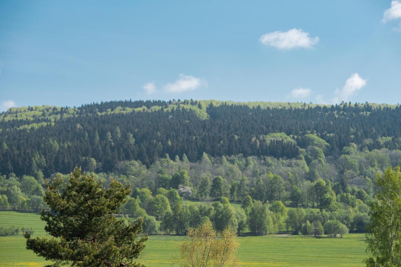 Destne Apartmany Destne v Orlickych horach Exteriör bild