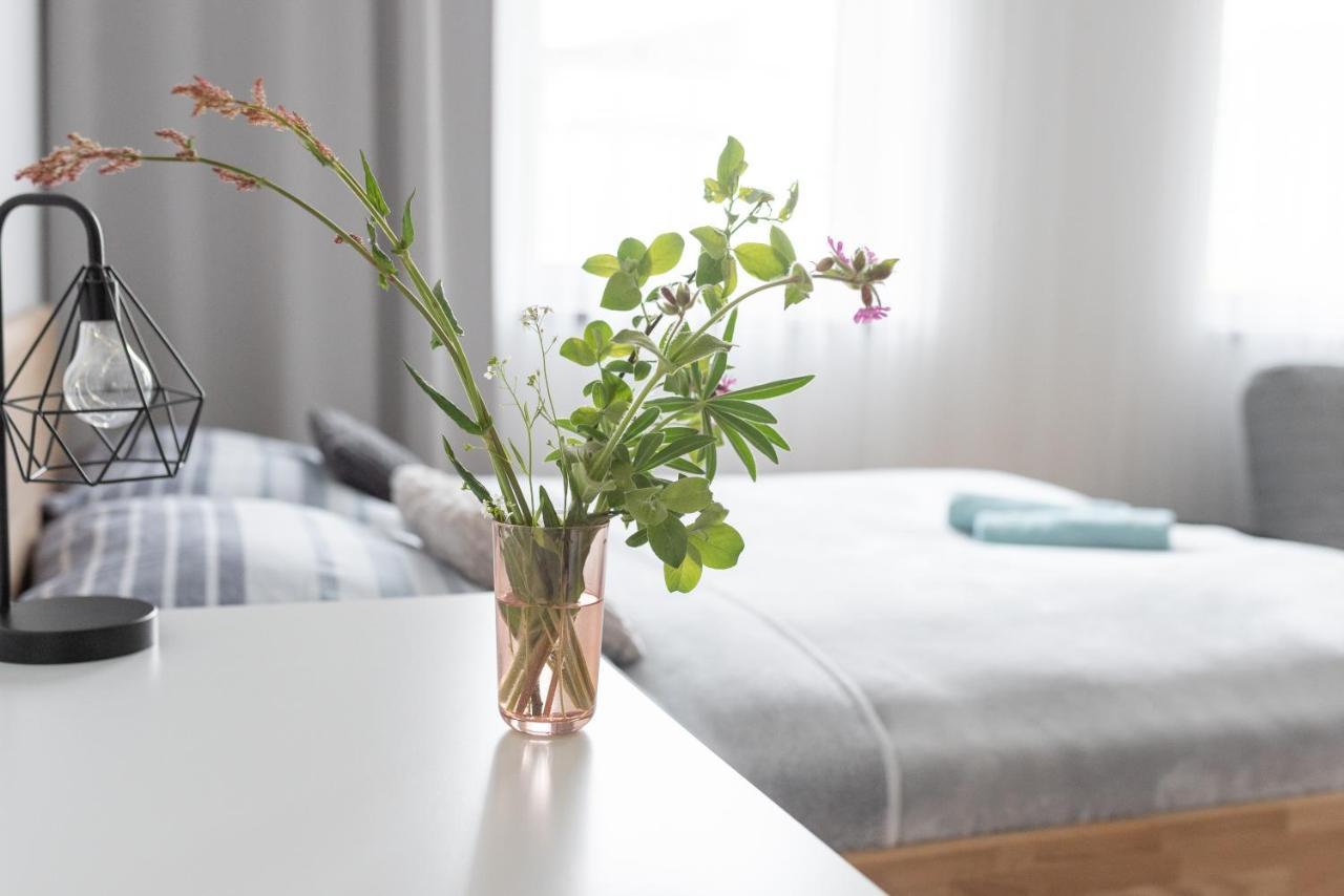 Destne Apartmany Destne v Orlickych horach Exteriör bild